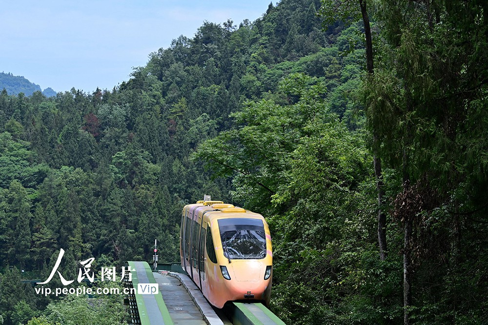 重庆酉阳：森林美 游人来