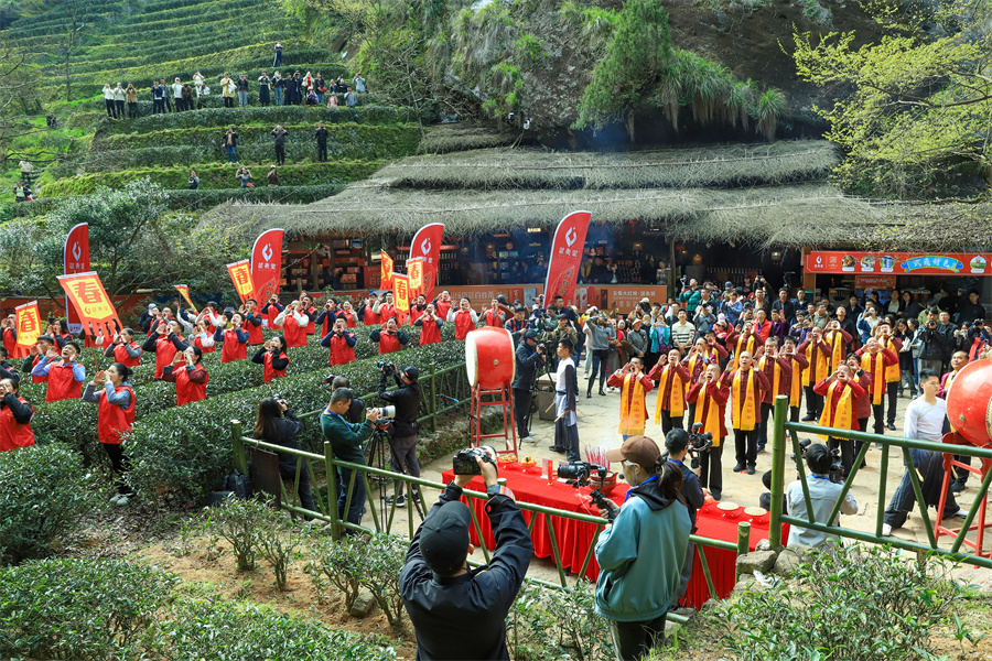 福建武夷山：举行喊山祭茶