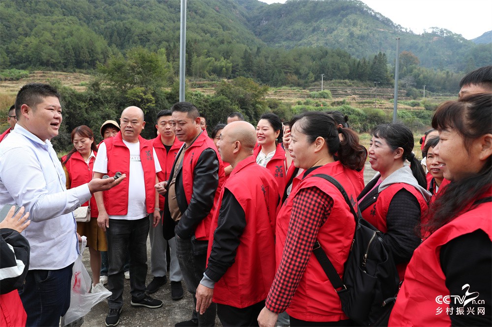 福建武夷山：高素质农民培训理论与实践···