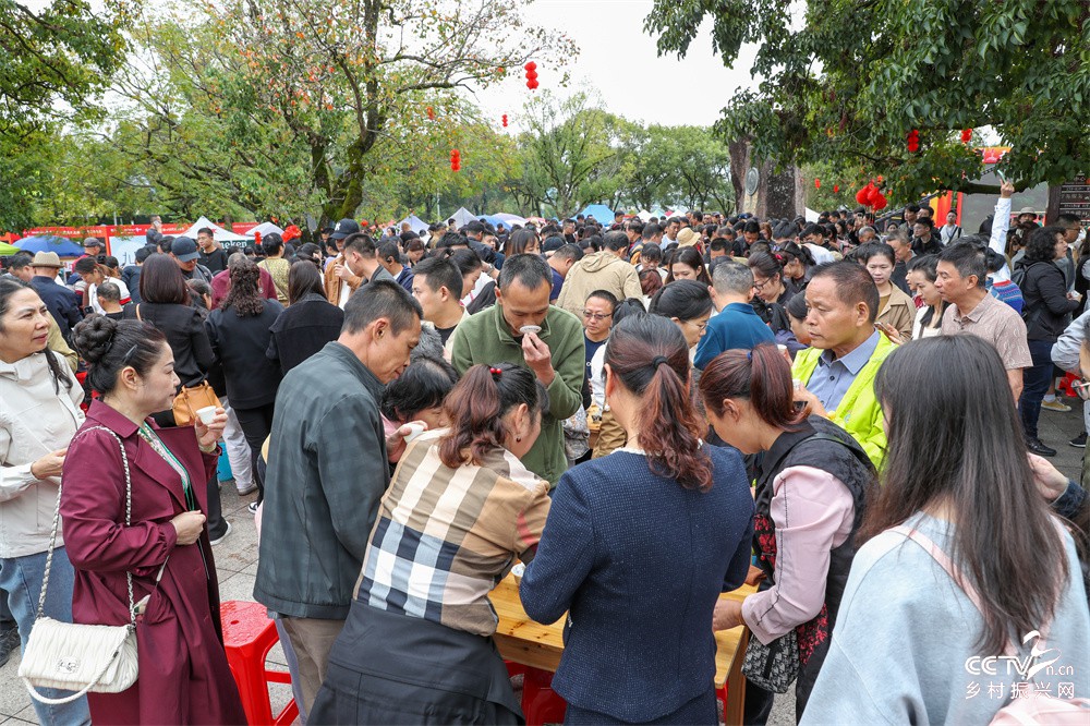 福建：武夷山百家茶席迎嘉宾