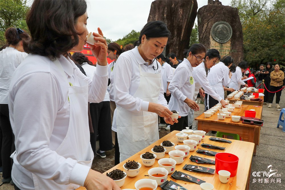 福建：韩国茶人寻茶到武夷山