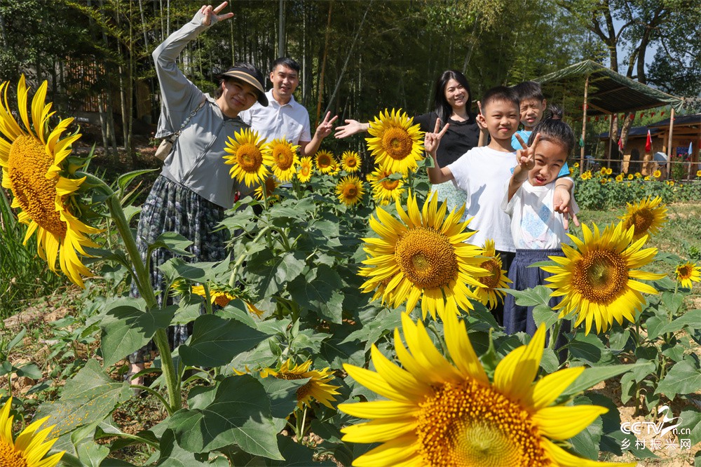 福建武夷山：又一网红打卡点——花仙谷···