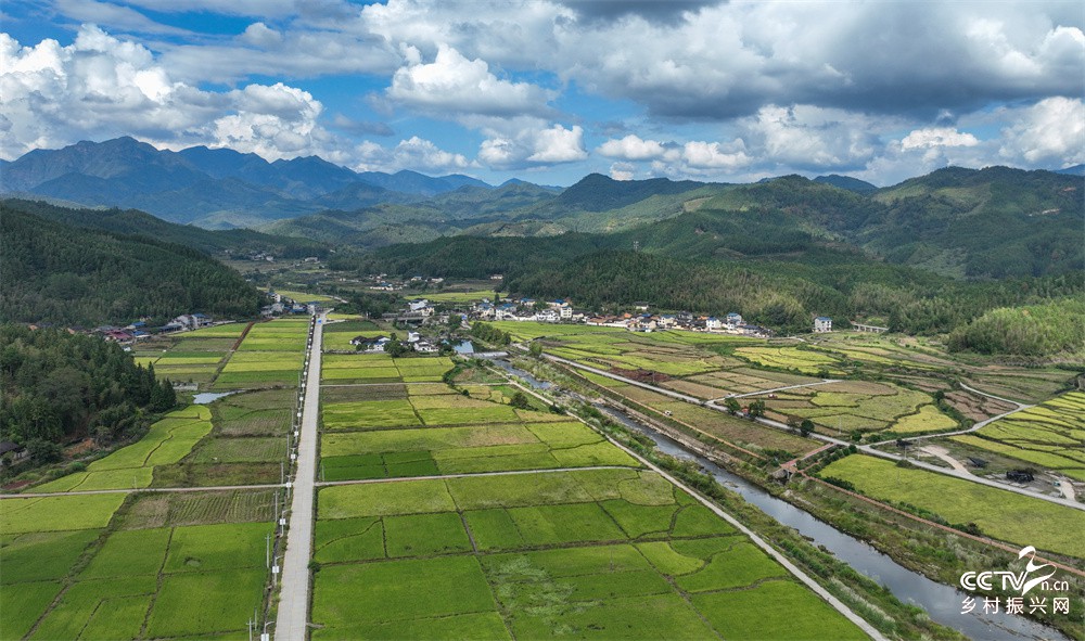 福建武夷山：金秋十月喜丰收