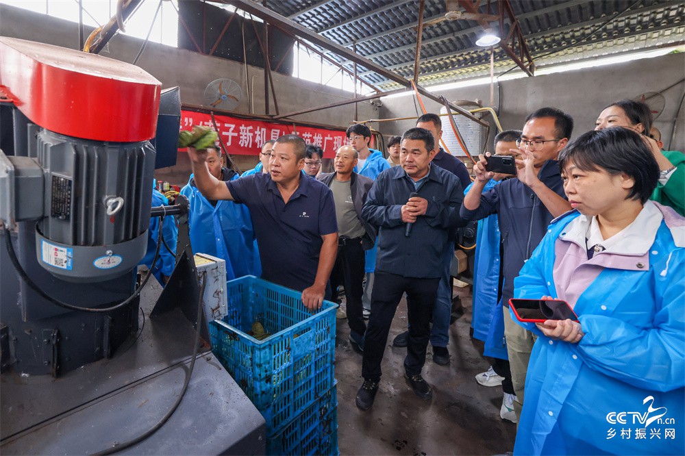 福建武夷山：举办2025年农业“五新···