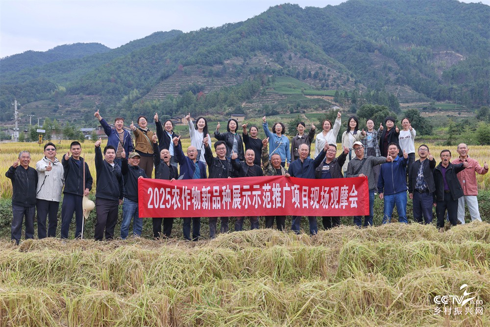 福建武夷山：举办2025年优质稻新品···