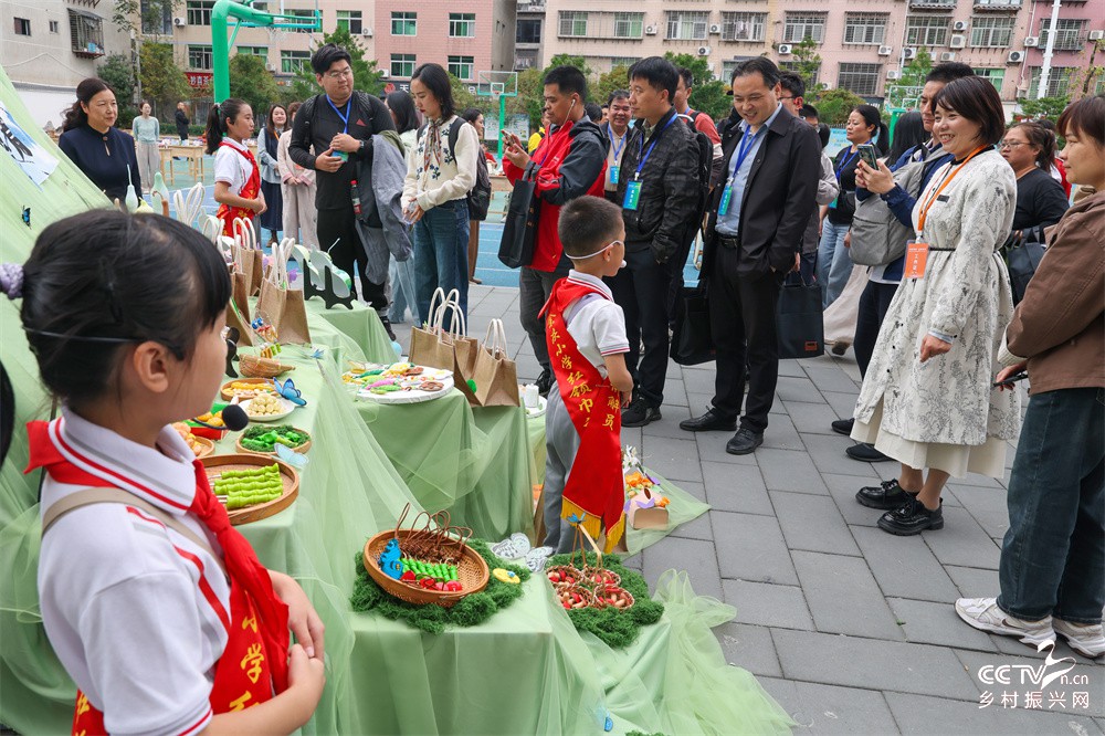 科学筑梦，点亮未来