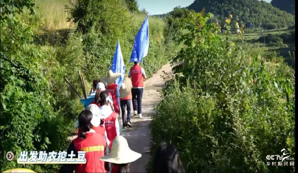 二下板底乡倮戛村—再赴洋芋地，重续手···