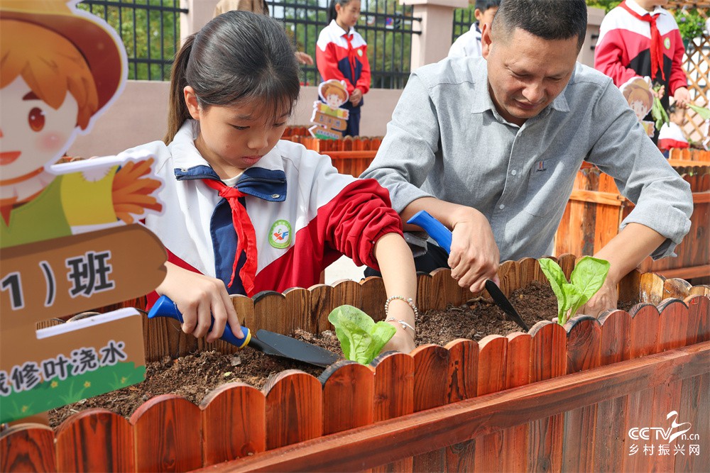 福建武夷山：新丰小学“新芽芬芳园”劳···