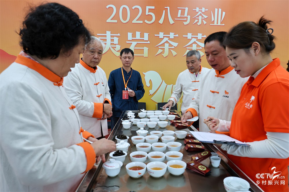 福建武夷山：八马茶业茶王赛落下帷幕