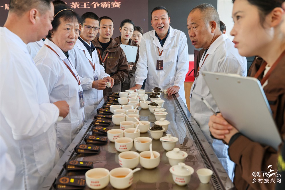 福建武夷山：“溪谷留香”茶王争霸赛落···