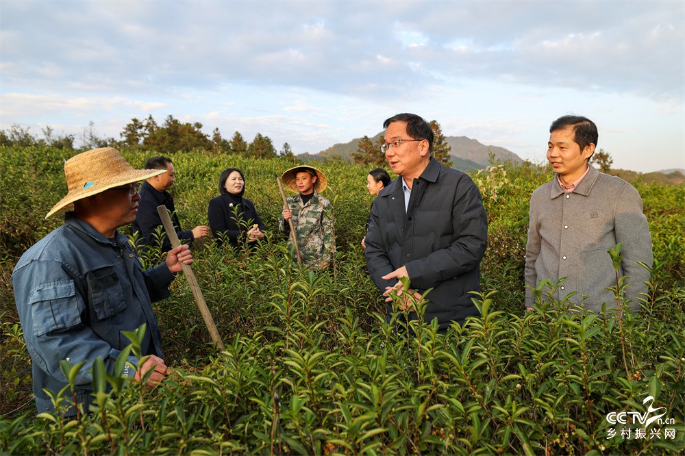 福建武夷山：创新“生物多样性+VEP···