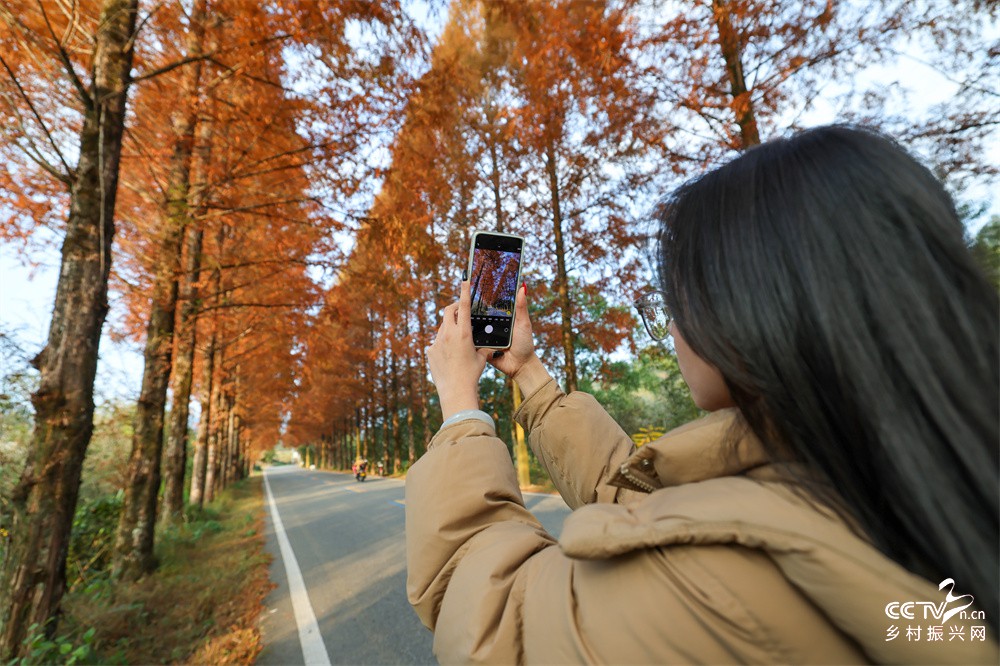 福建：游人乐享武夷冬韵