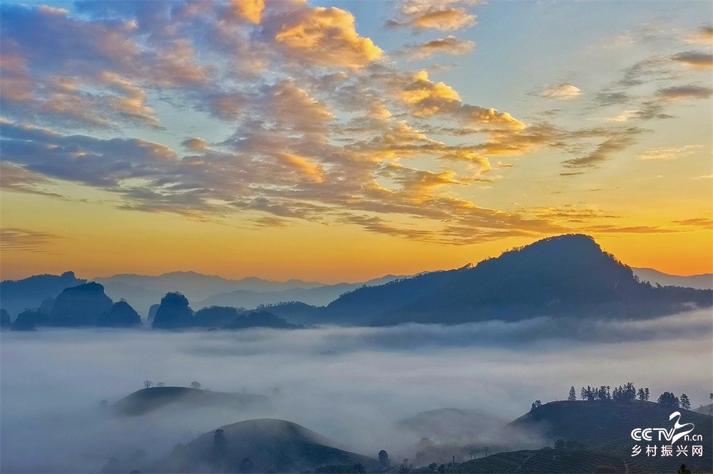 武夷山国家公园：看朝霞染云海，群山藏···