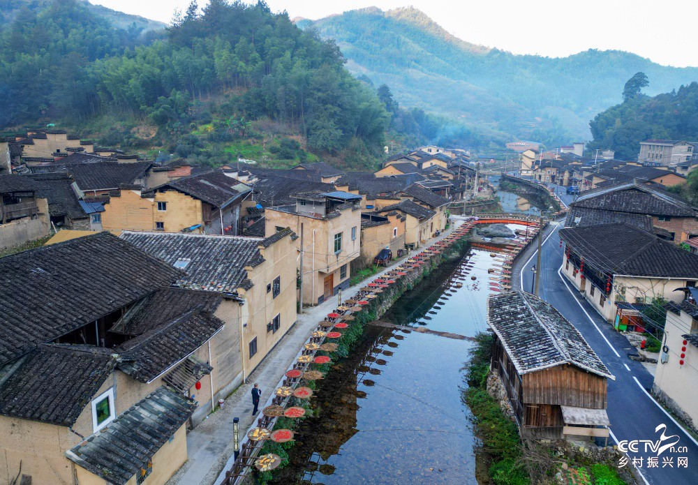 福建政和：文化特派员李文娟  短视频···