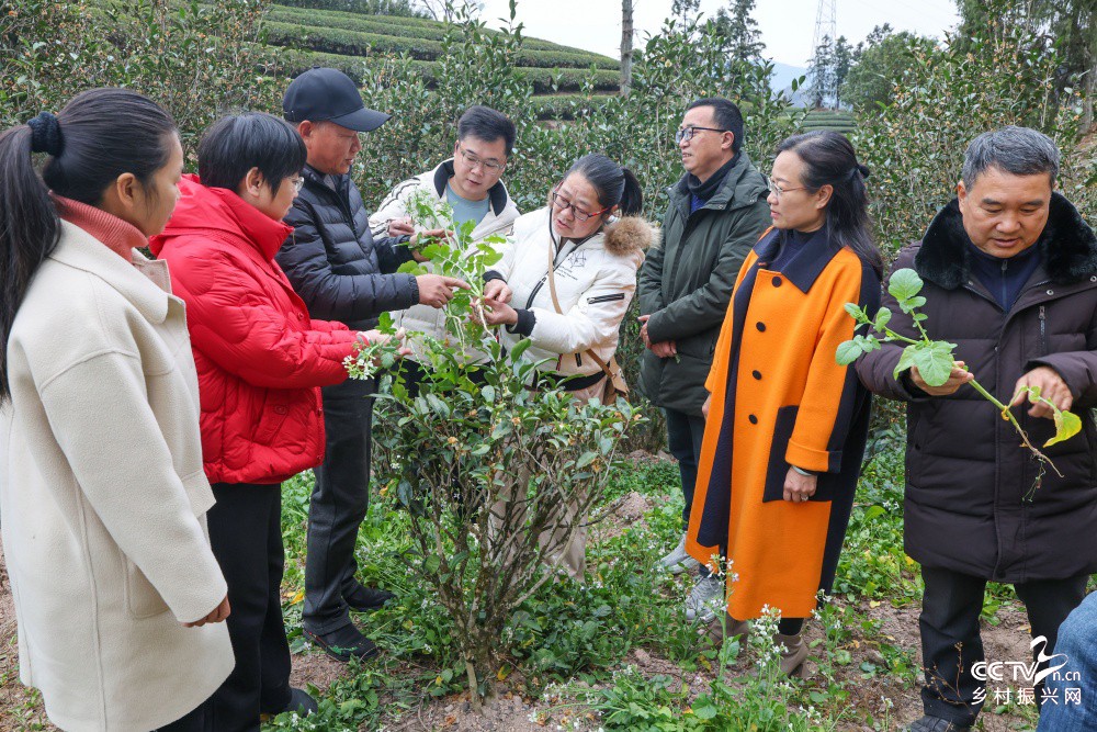 福建武夷山：举行科学施肥增效“三新”···
