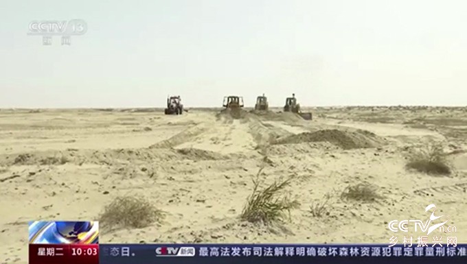 深圳力量：数万亩沙地化碧波 产业援疆···