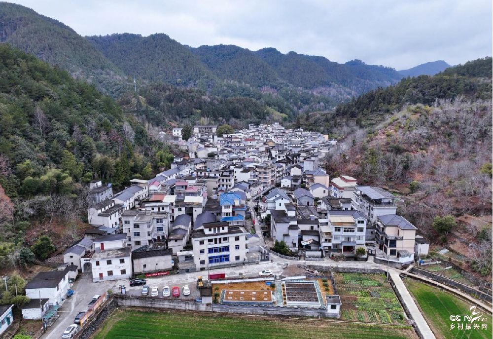 温暖迎新春 幸福家园情  ——淳安威···