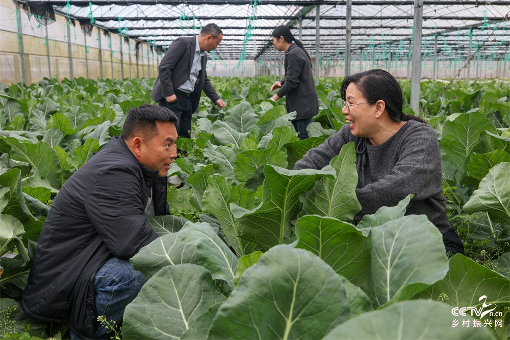 福建武夷山：节后上班第一天 送科技进···