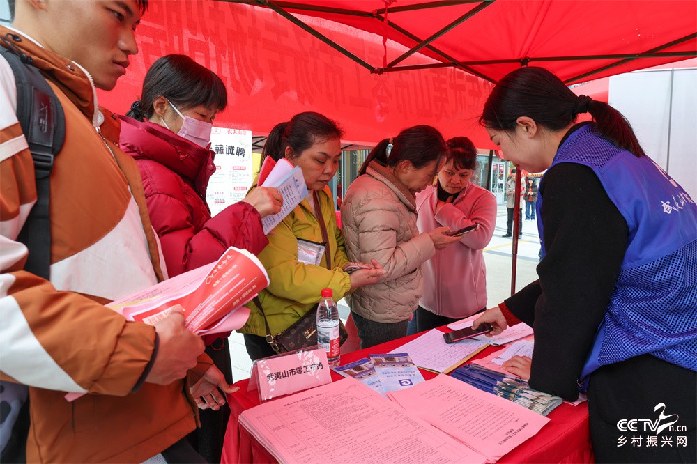 福建武夷山：春风送岗促就业 精准服务···