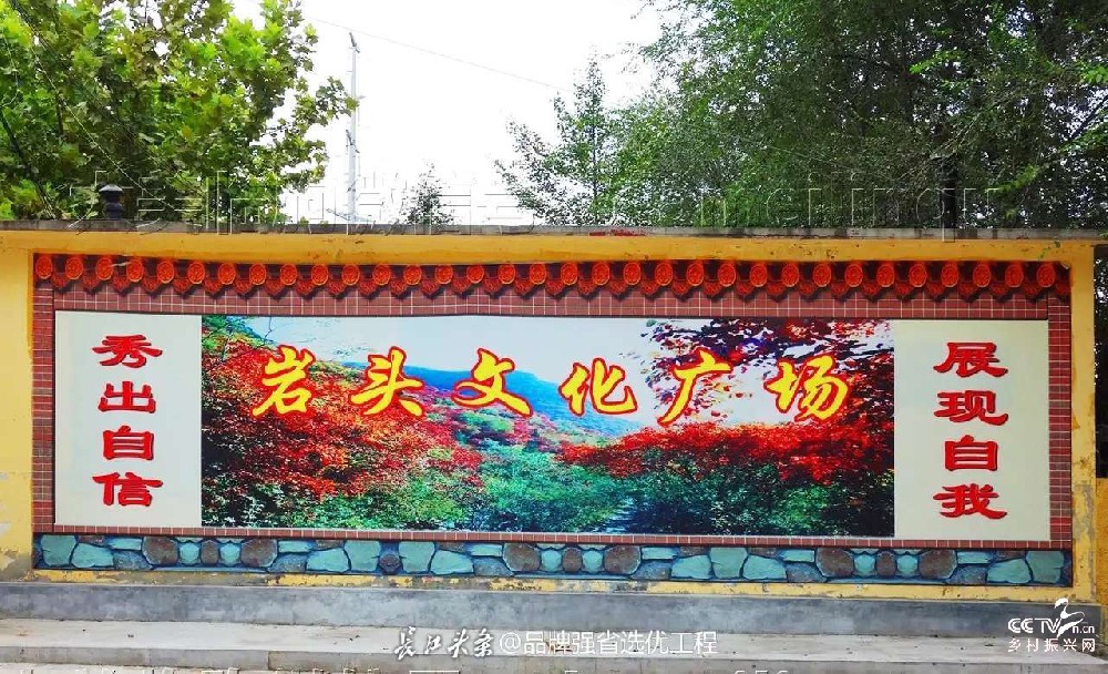 山东省临朐县城关街道岩头村兴业为民新···