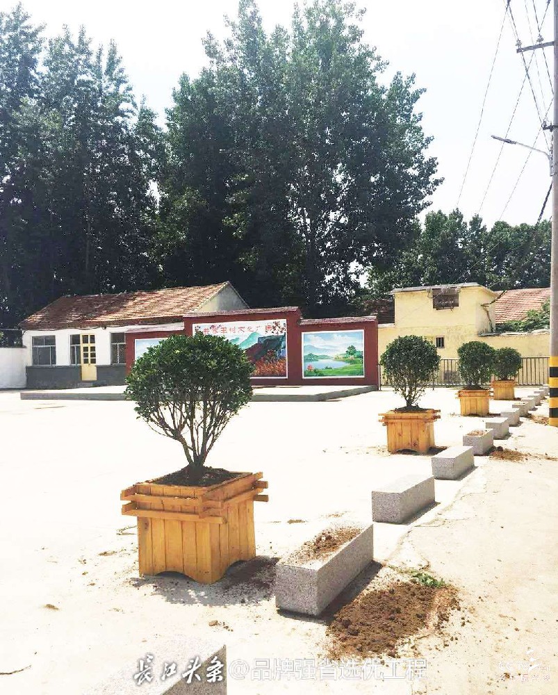 山东省临朐县城关街道井家田村五年振兴···