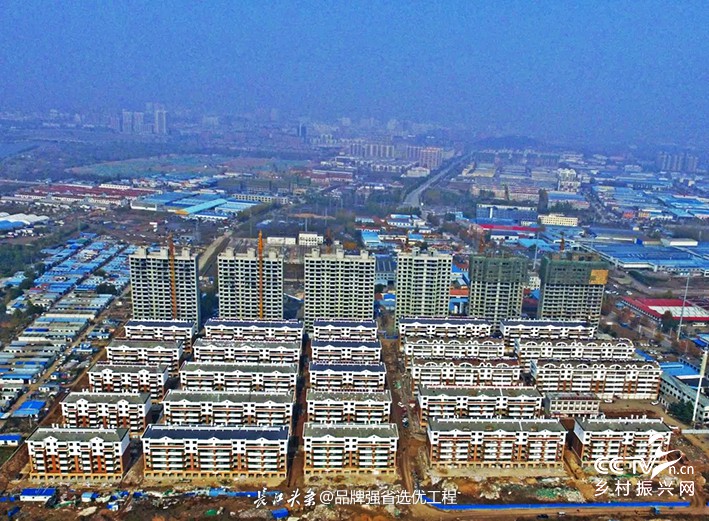 山东省临朐县东城街道烟冢铺村五年振兴···