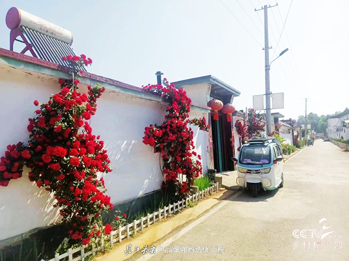 山东省临朐县九山镇麻坞村振兴走笔——···