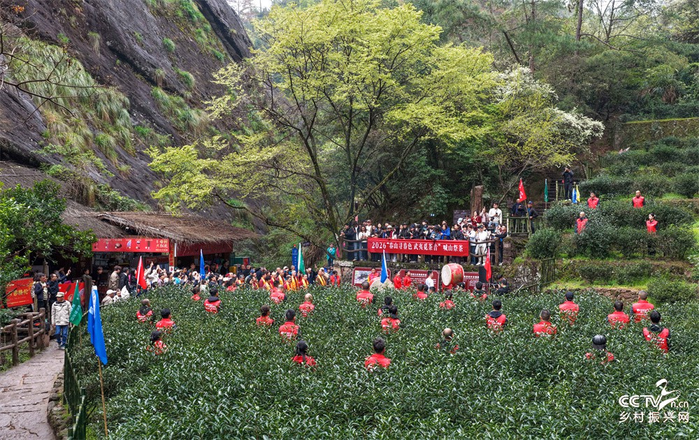 福建武夷山：举行喊山祭茶