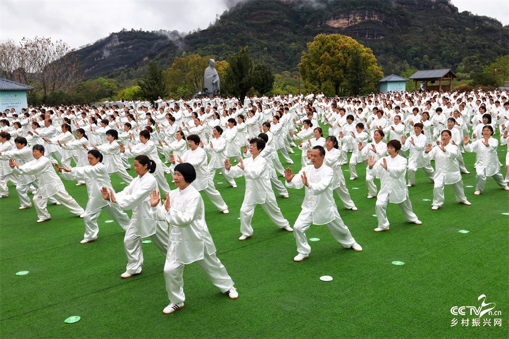 首个“国际太极拳日”太极拳展演活动在···