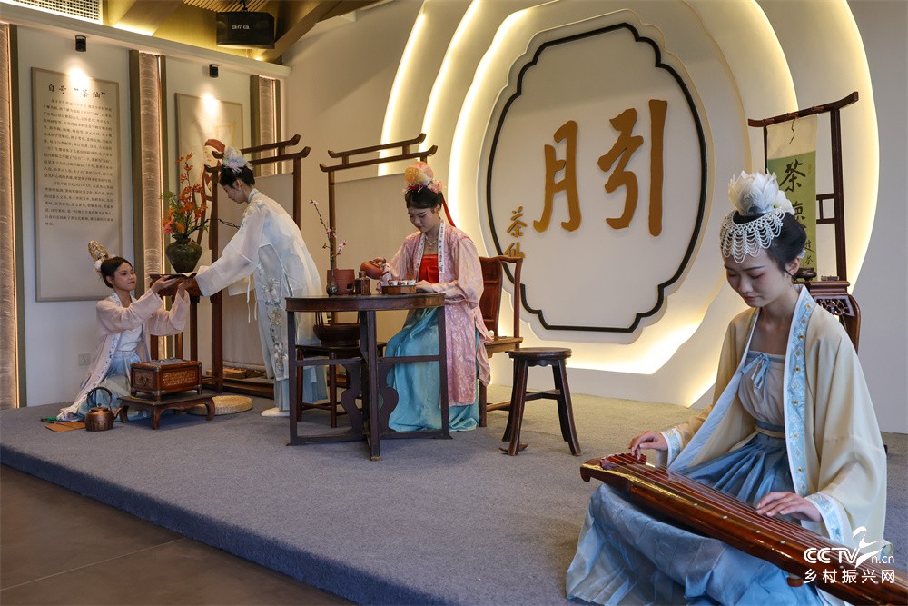 福建武夷山：沉浸式体验“朱子茶礼”