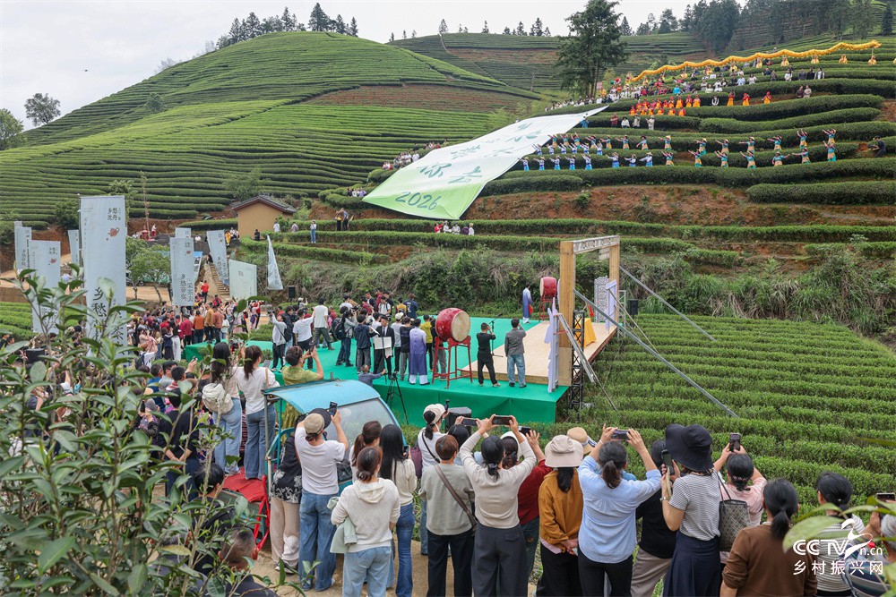 福建武夷山：举办“春山寻春色·沈丹带···