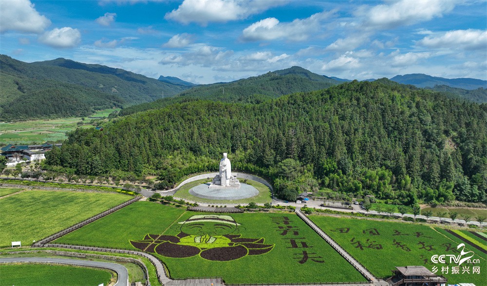 福建武夷山：五夫彩稻田园美如画