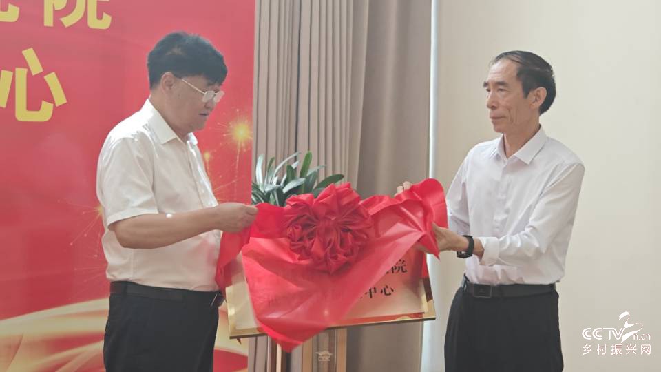 低空经济研究中心落户沧州 共探城市经···