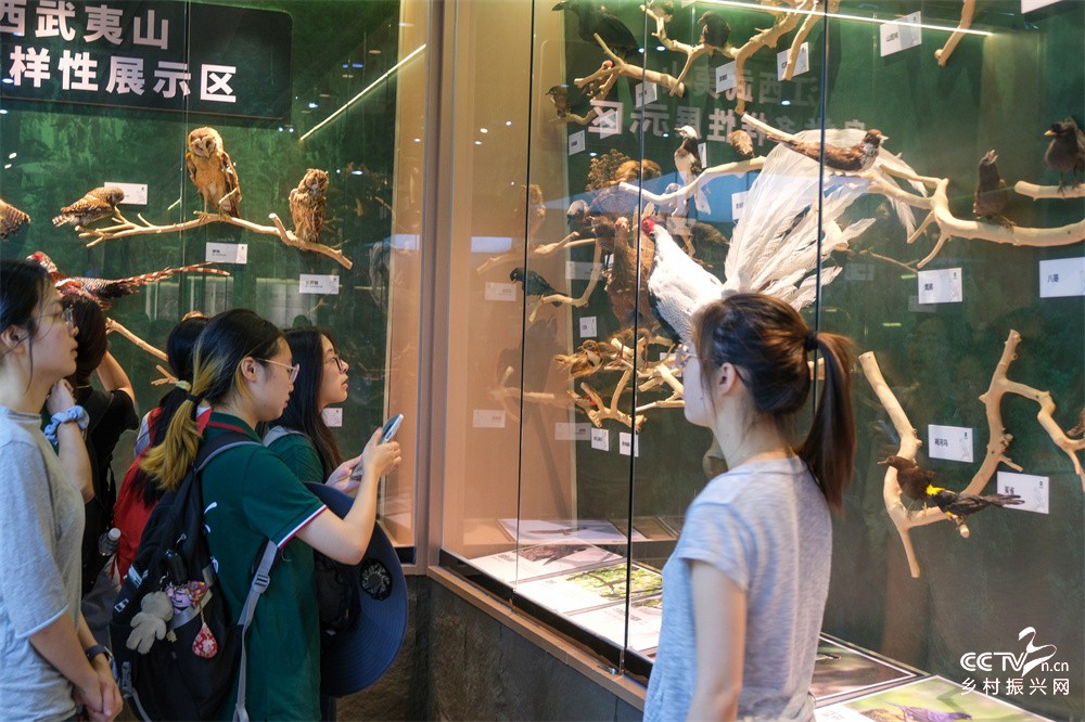 北京林业大学“乡见”实践团在武夷山国···