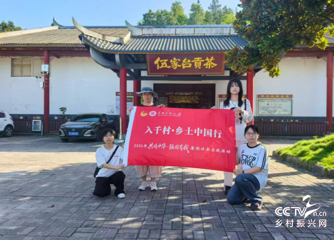 茶旅相融绘乡韵 青年躬身助振兴——中···