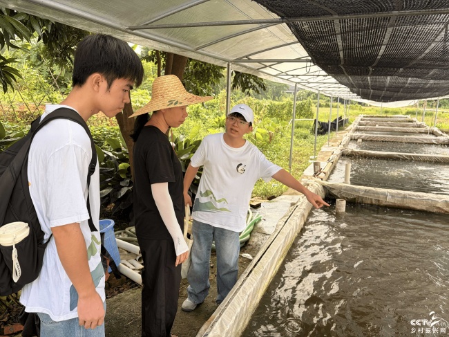 研习南粤践初心！佛山大学青年深入新兴···