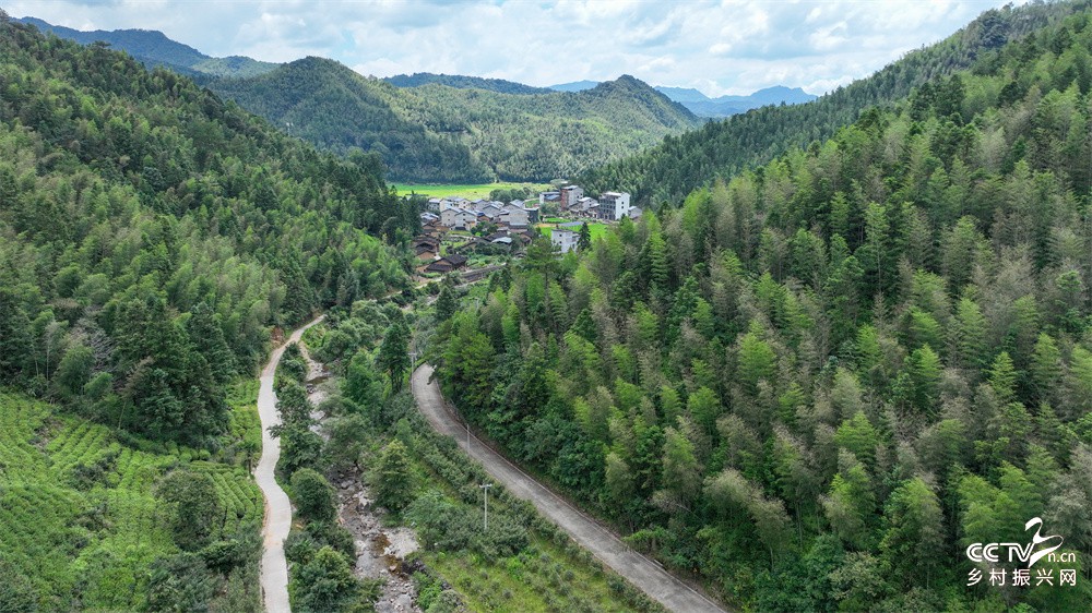 福建武夷山：阙东河返乡护河守源头 企···