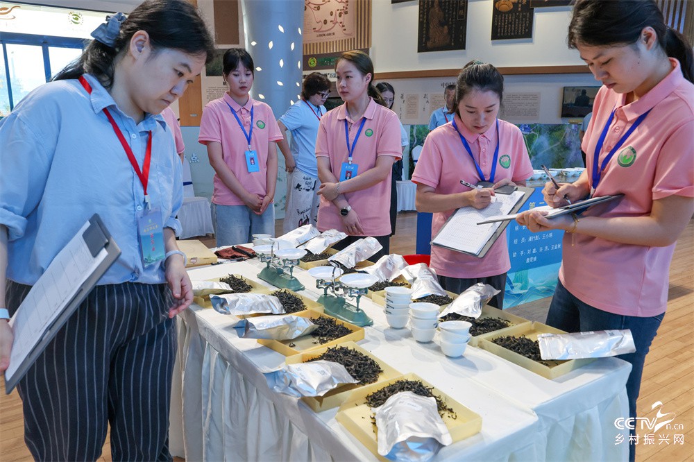 福建：以赛评茶促提升 武夷山第二十二···