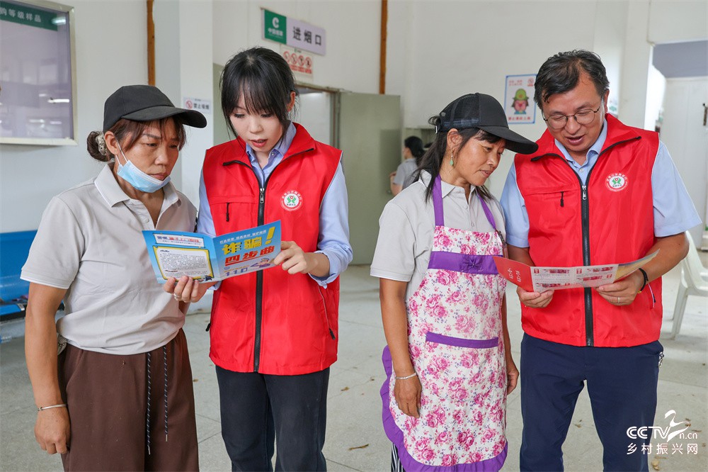 福建武夷山：金融宣传进一线 守护农民···