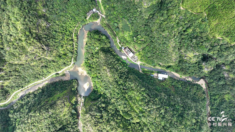 福建武夷山：践行两山发展理念  护山···